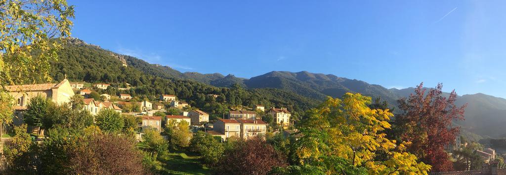 Gite Du Chalet Pietri Olivese Bagian luar foto