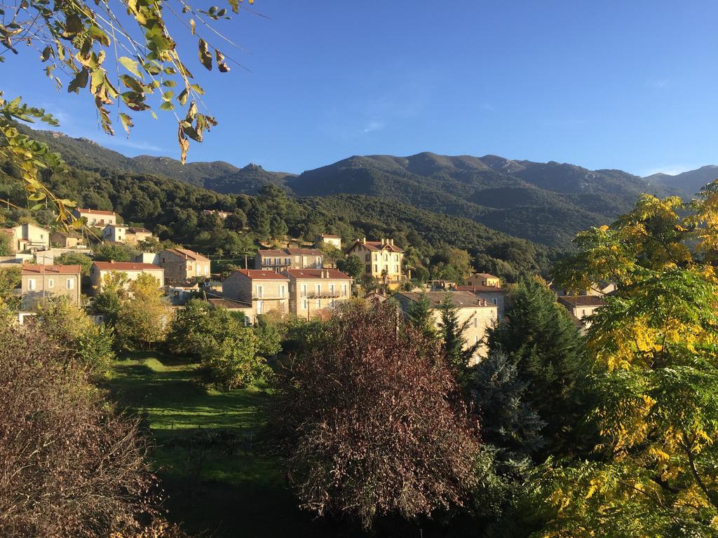 Gite Du Chalet Pietri Olivese Bagian luar foto