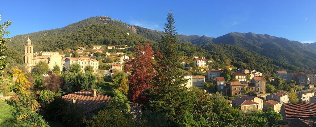 Gite Du Chalet Pietri Olivese Bagian luar foto