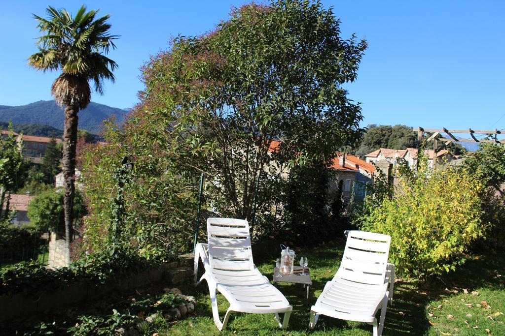 Gite Du Chalet Pietri Olivese Bagian luar foto