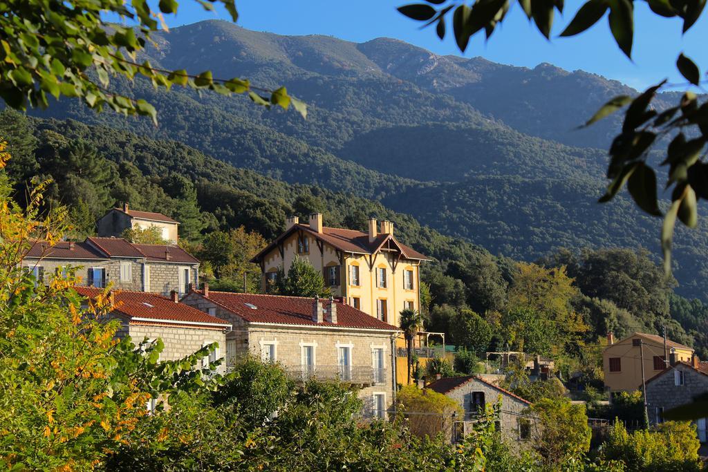 Gite Du Chalet Pietri Olivese Bagian luar foto