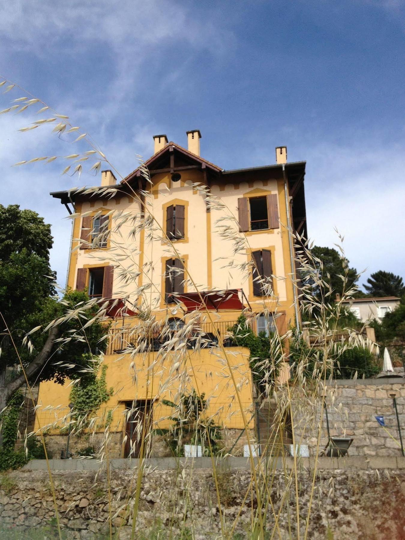 Gite Du Chalet Pietri Olivese Bagian luar foto