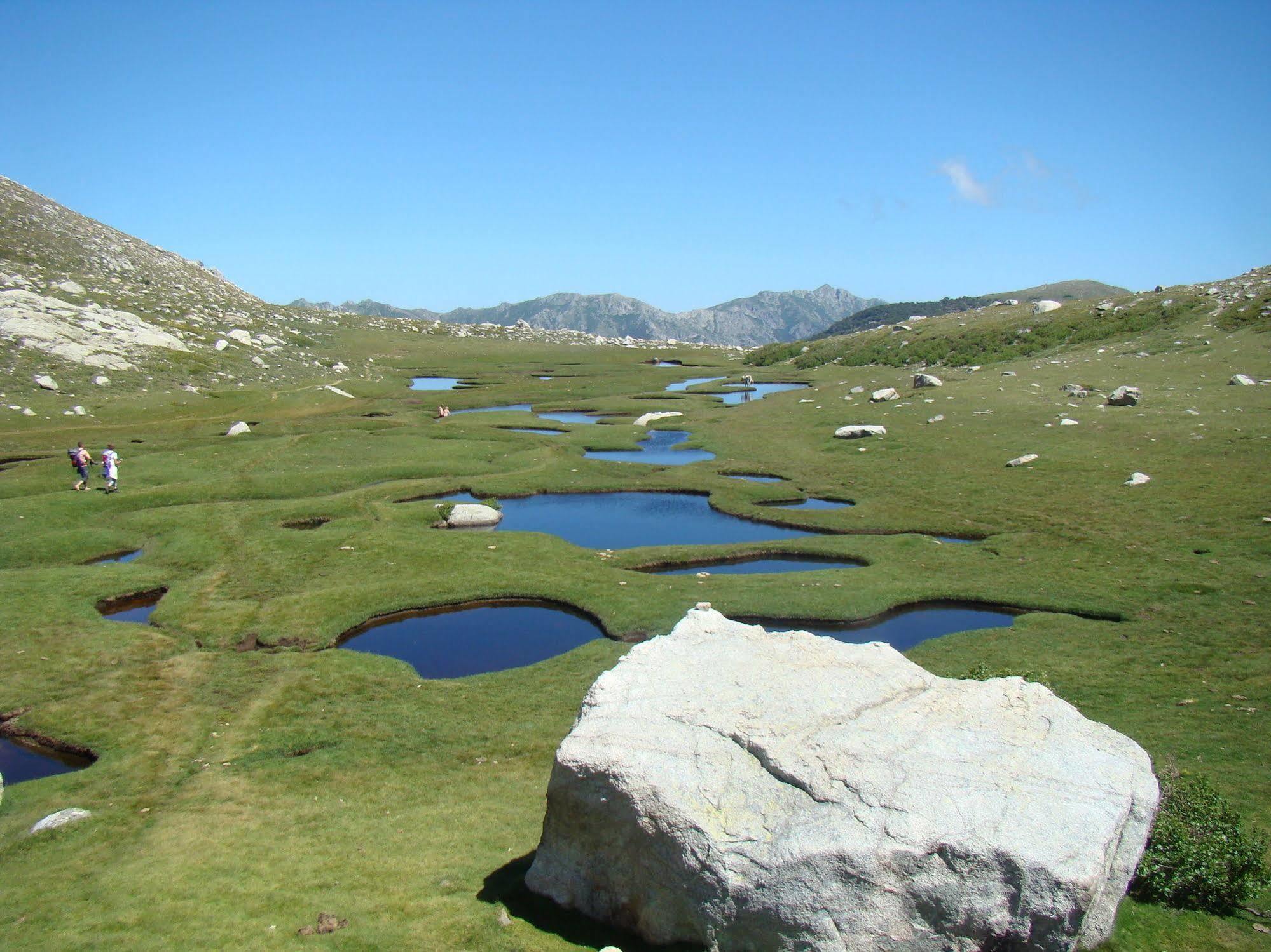 Gite Du Chalet Pietri Olivese Bagian luar foto
