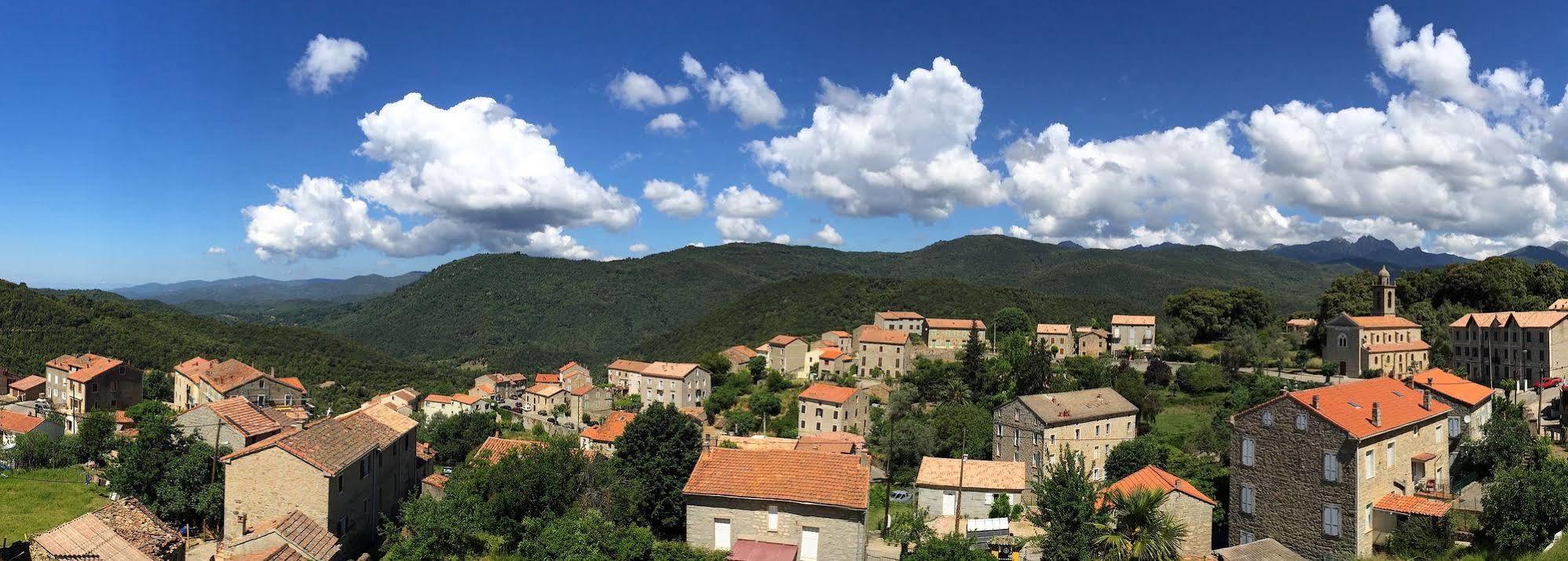Gite Du Chalet Pietri Olivese Bagian luar foto